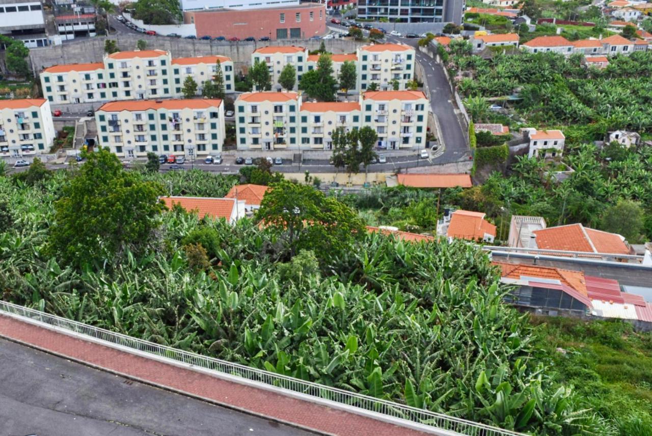 Design Gardens, A Home In Madeira Funchal  Zewnętrze zdjęcie